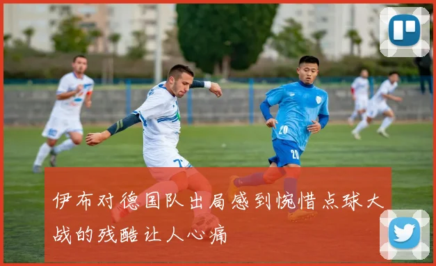 伊布对德国队出局感到惋惜点球大战的残酷让人心痛