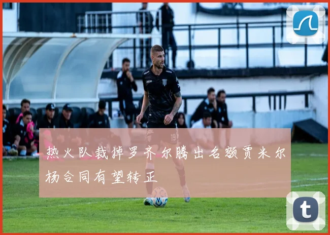 热火队裁掉罗齐尔腾出名额贾米尔杨合同有望转正